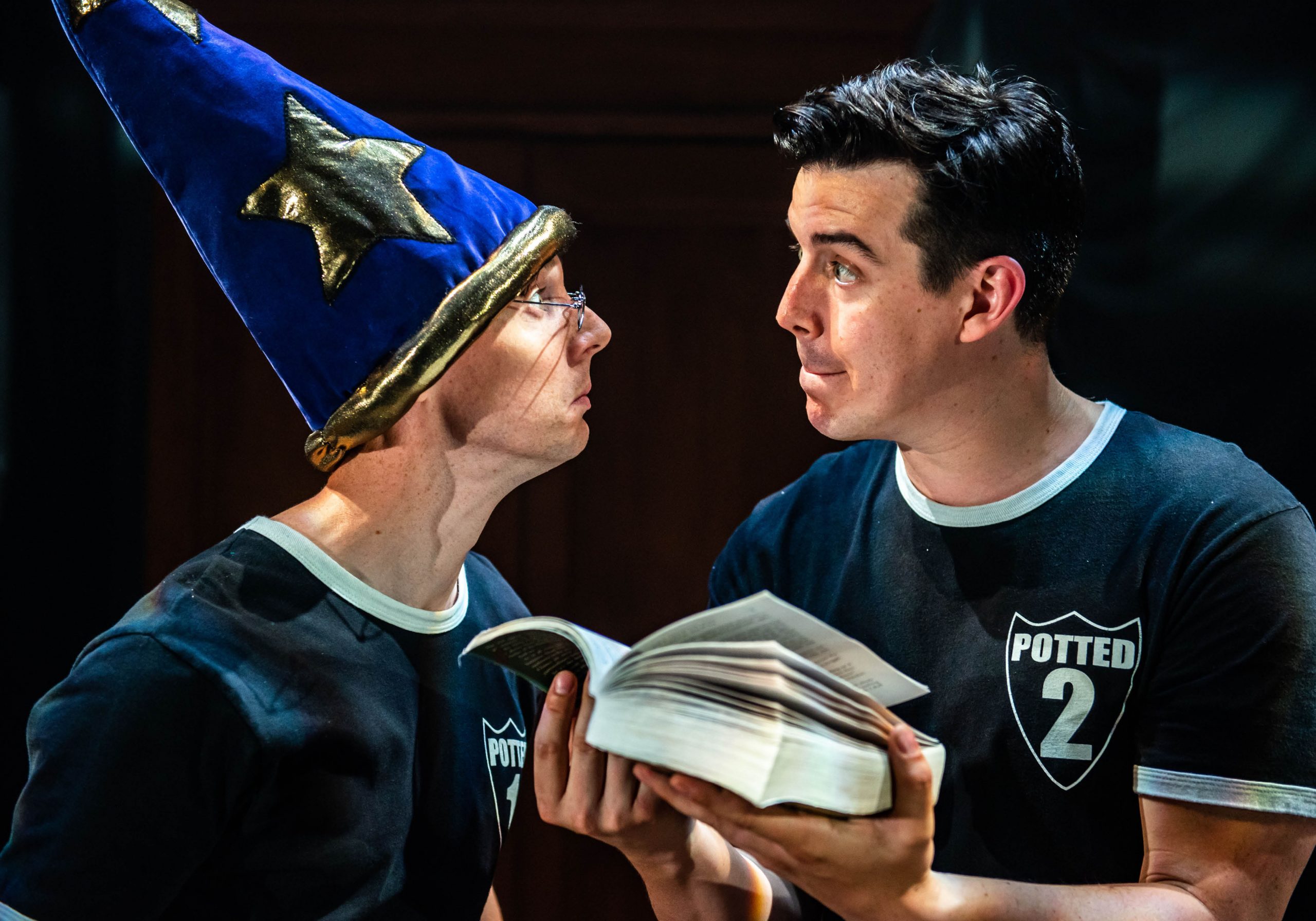 Potted Potter Show Image