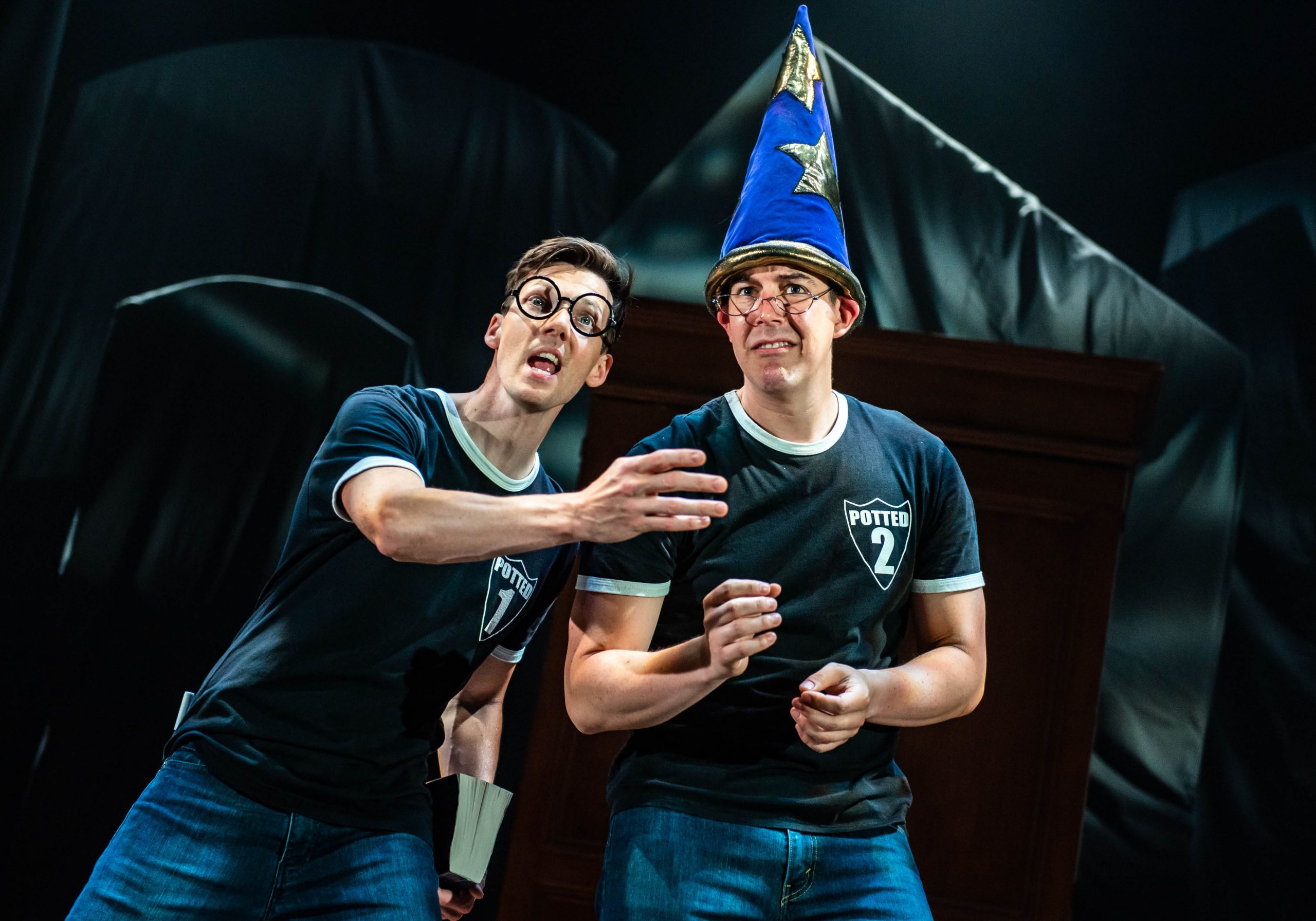 Potted Potter Show Image