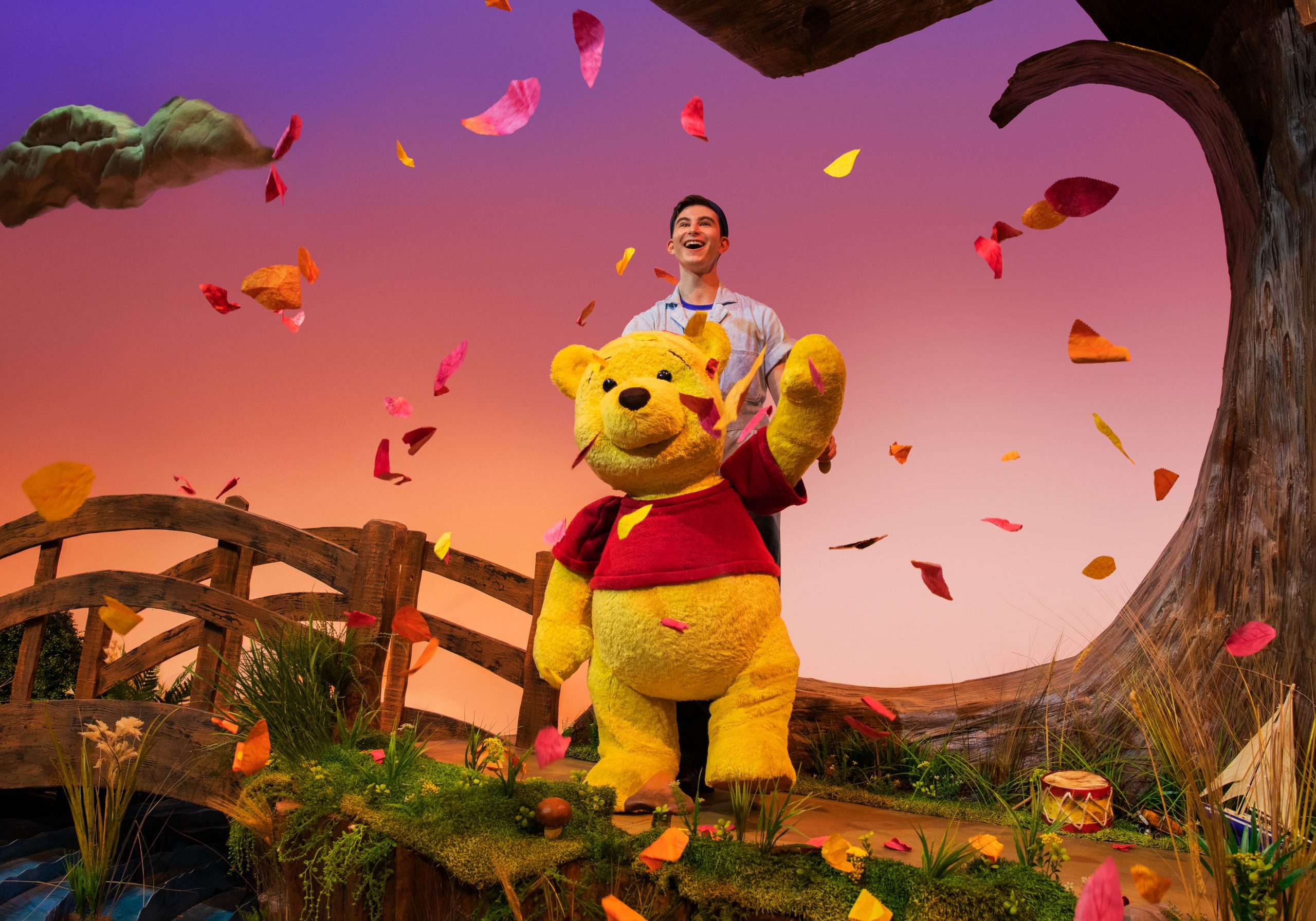 Disney's Winnie the Pooh - The Hobby Center