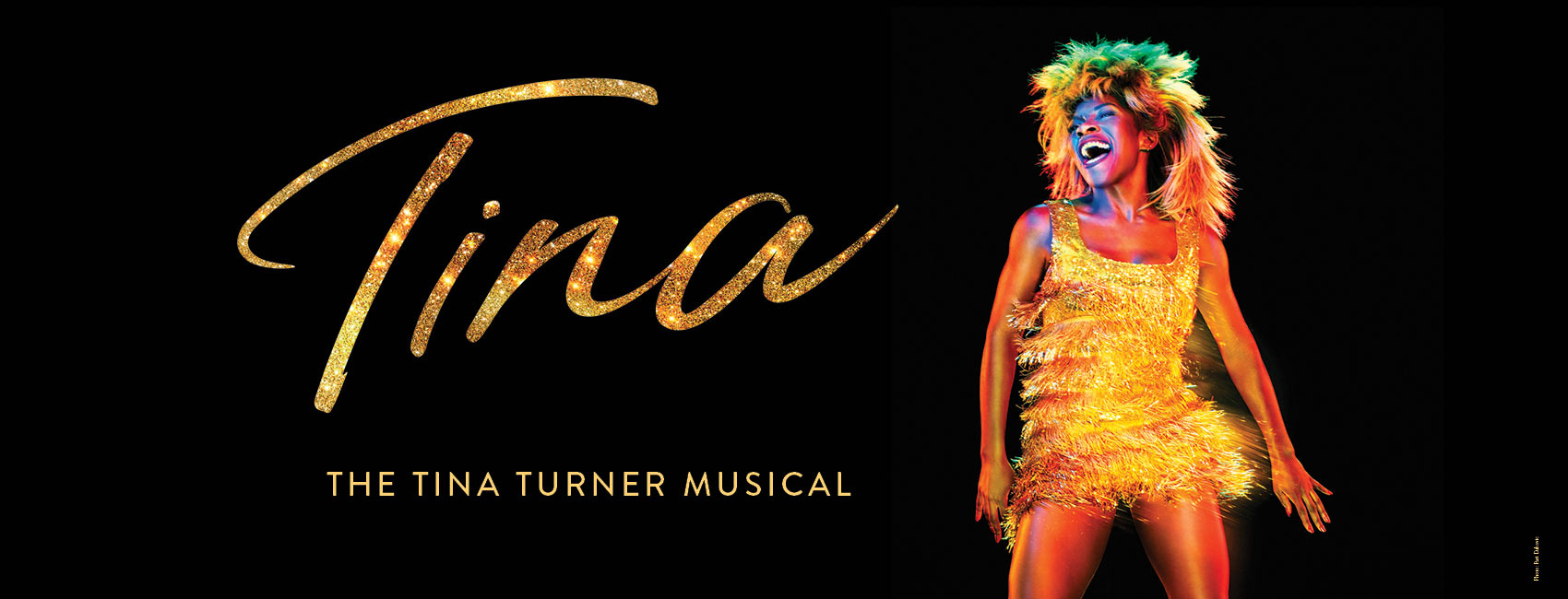 TINA - The Tina Turner Musical