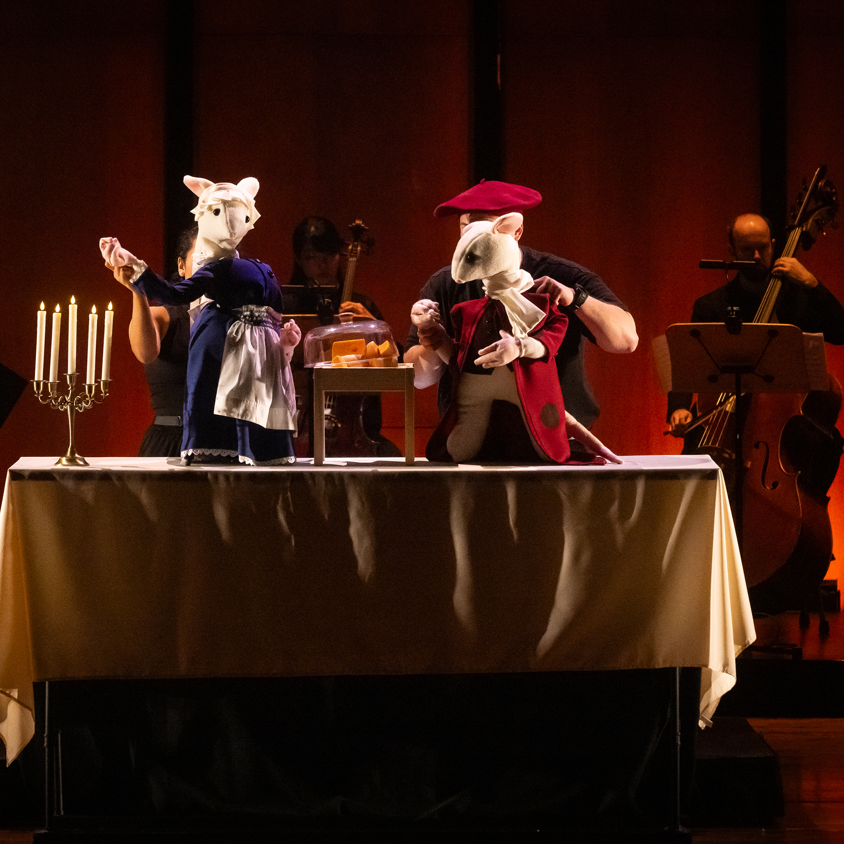 Mozart: Cats and Mice